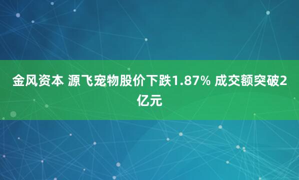 金风资本 源飞宠物股价下跌1.87% 成交额突破2亿元