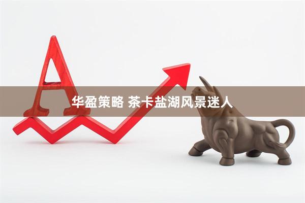 华盈策略 茶卡盐湖风景迷人