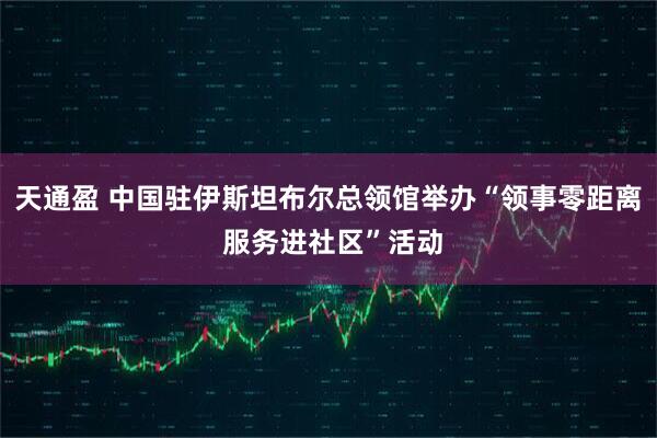 天通盈 中国驻伊斯坦布尔总领馆举办“领事零距离 服务进社区”活动