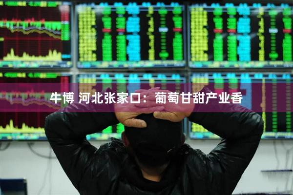 牛博 河北张家口：葡萄甘甜产业香