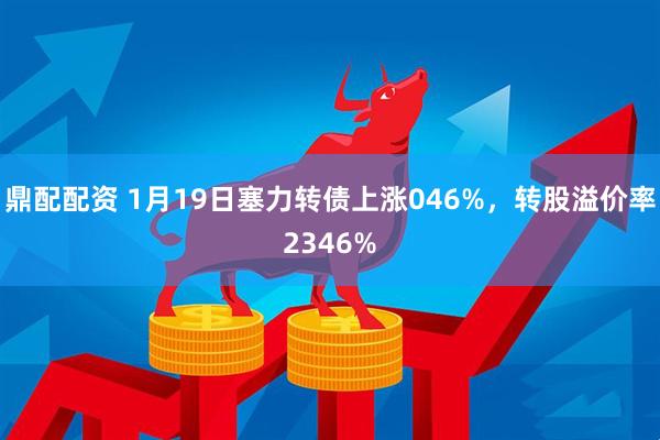 鼎配配资 1月19日塞力转债上涨046%，转股溢价率2346%