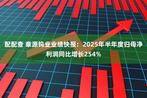 配配查 章源钨业业绩快报：2025年半年度归母净利润同比增长254%