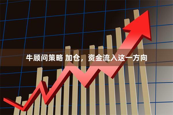 牛顾问策略 加仓，资金流入这一方向