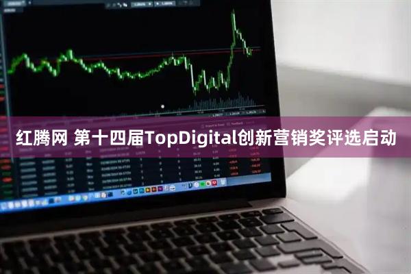 红腾网 第十四届TopDigital创新营销奖评选启动